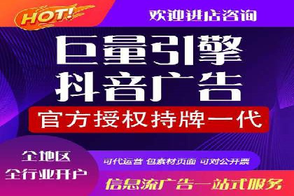 SEM广告投放策略：成功案例解析